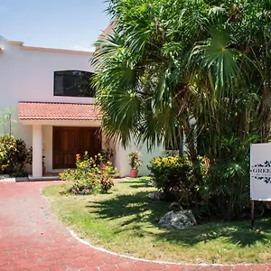 Green Oasis Boutique Bed & Breakfast Playa del Carmen